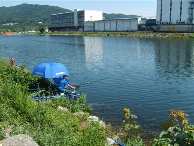 S5000381.JPG