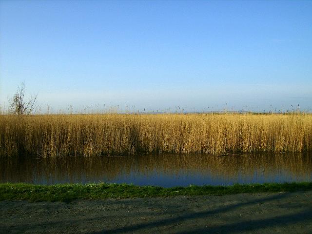 P4150001.JPG